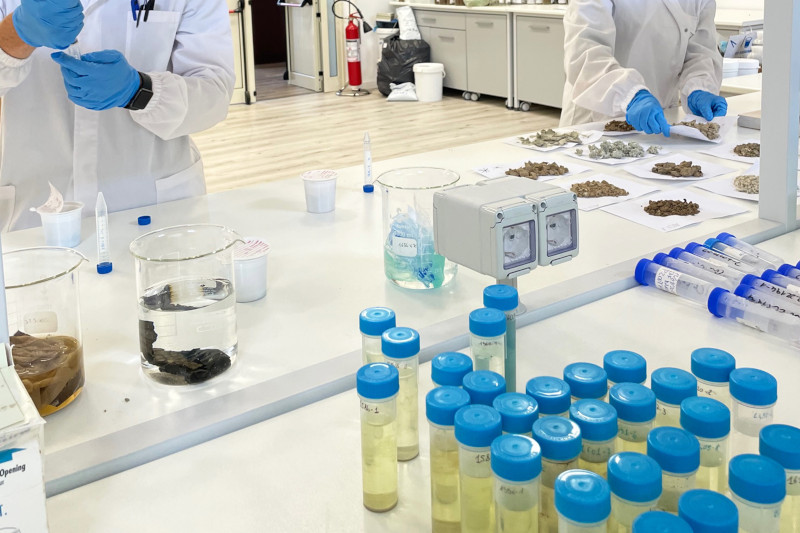 Laboratorio analisi - operatore