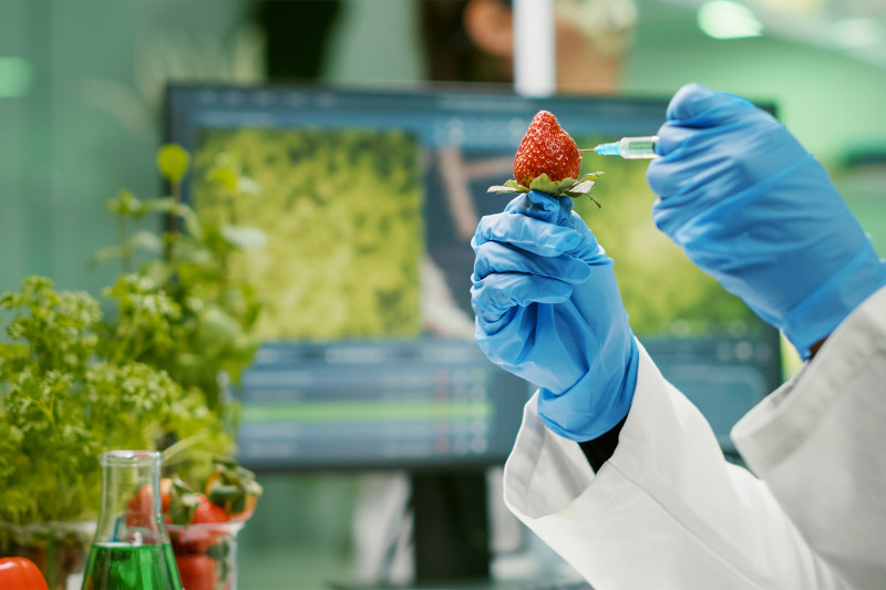 Servizi - analisi alimentari