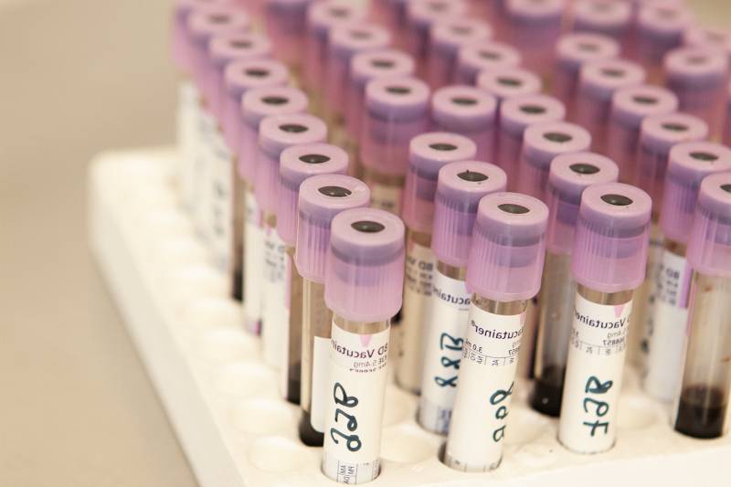 Servizi - analisi sangue